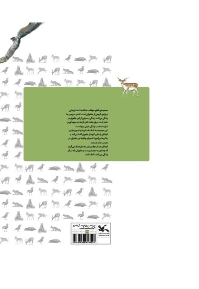 گوزن زرد